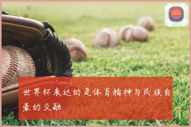 世界杯表达的是体育精神与民族自豪的交融