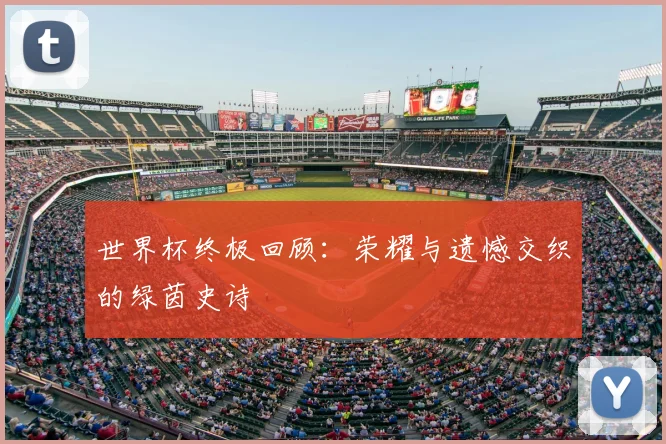 世界杯终极回顾：荣耀与遗憾交织的绿茵史诗