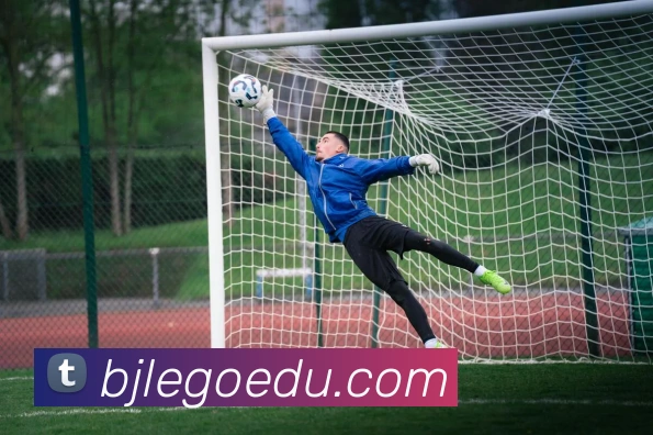 奇异果工作室官网品牌故事