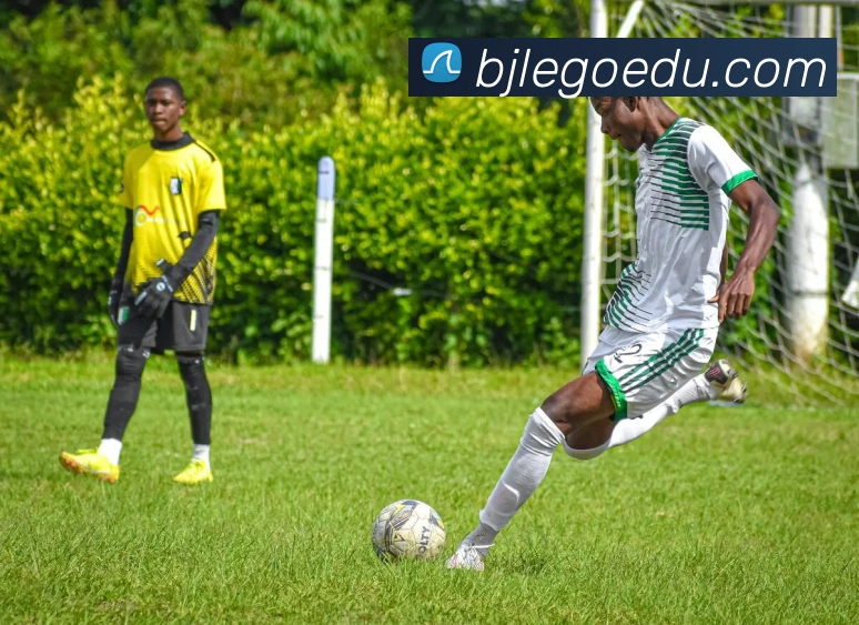 奇异果工作室官网服务体系